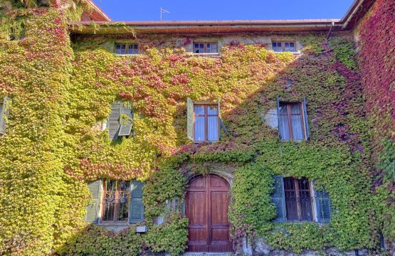 Para venda Casale Interior Tortona Piemonte