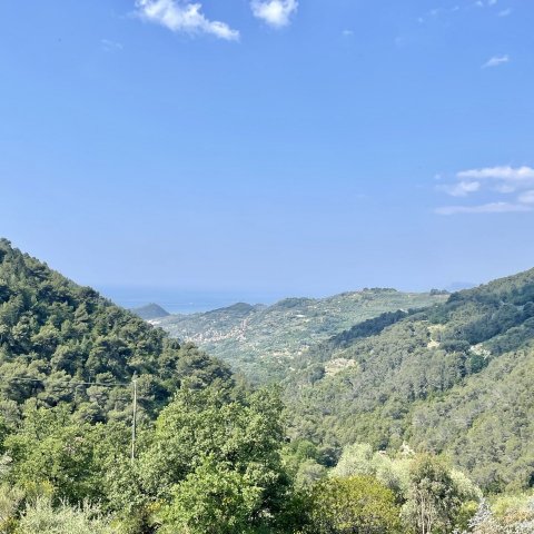 Moradia Zona tranquila