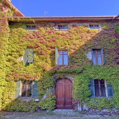 Casale Interior