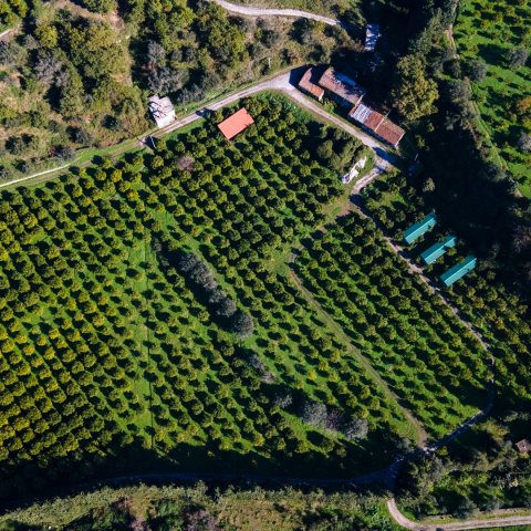 Real Estate Transaction Quiet zone