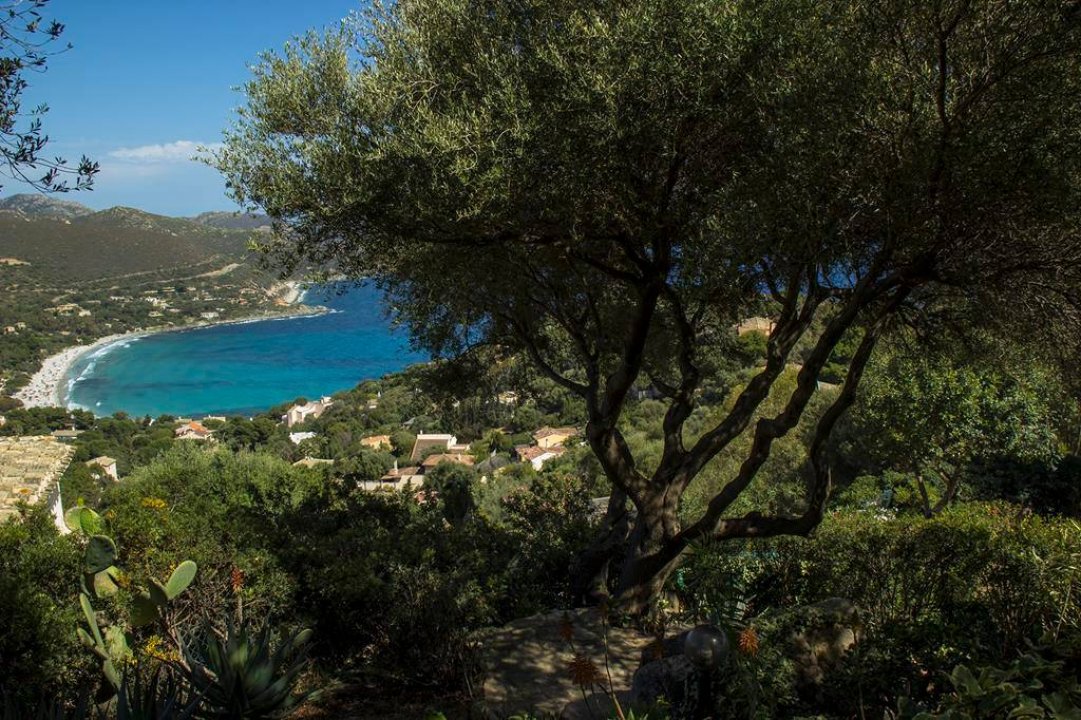 A vendre villa by the mer Villasimius Sardegna foto 10