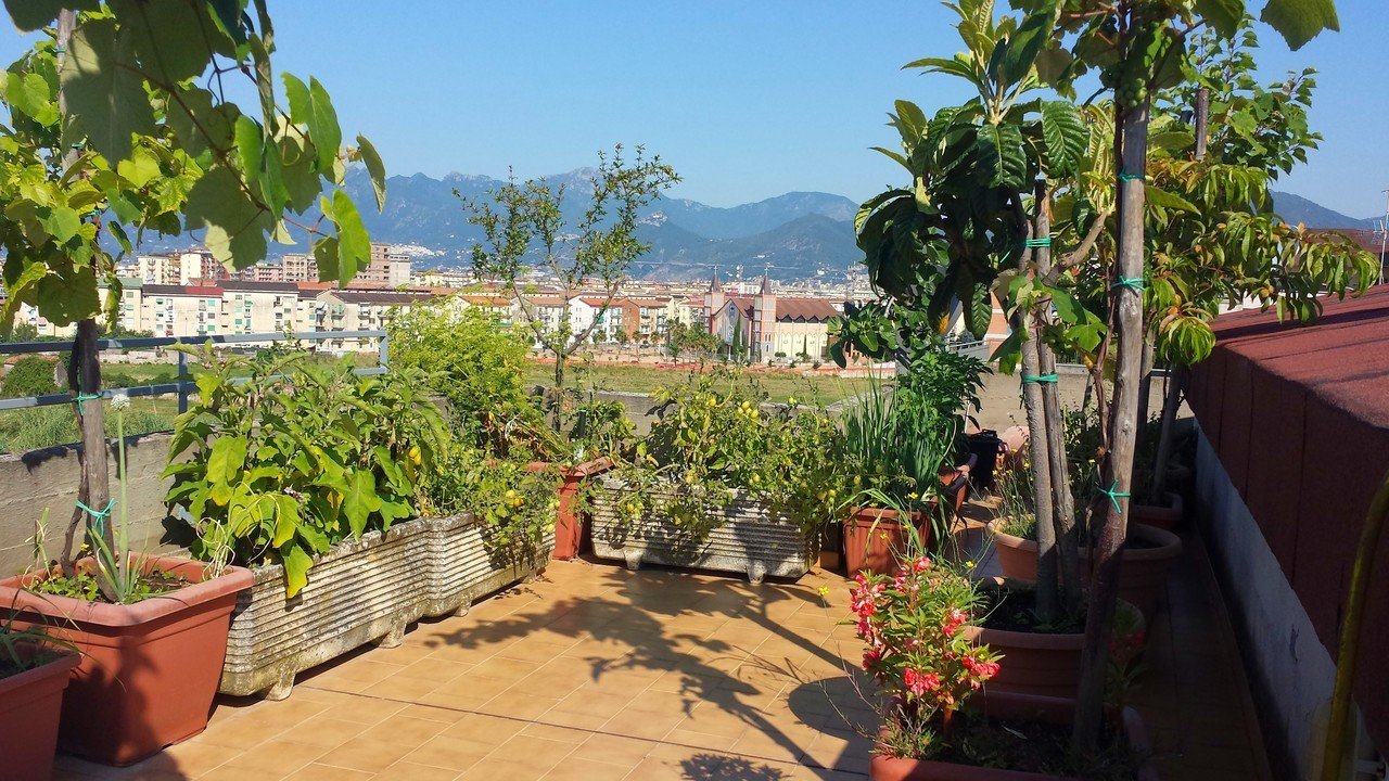 For sale penthouse in city Salerno Campania foto 4