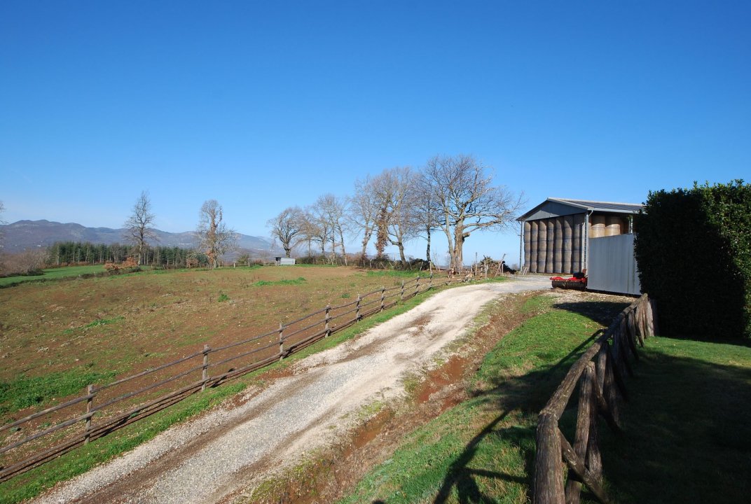 For sale cottage in quiet zone Pitigliano Toscana foto 15