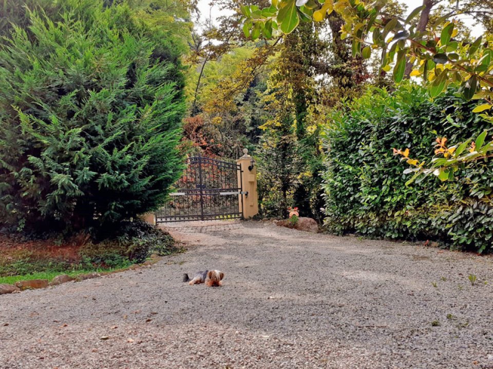 A vendre villa in zone tranquille Murazzano Piemonte foto 24