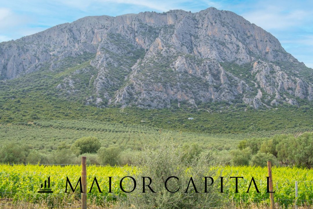 Para venda terreno in montanha Siniscola Sardegna foto 1