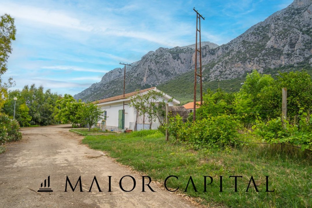 Zu verkaufen land in berg Siniscola Sardegna foto 36