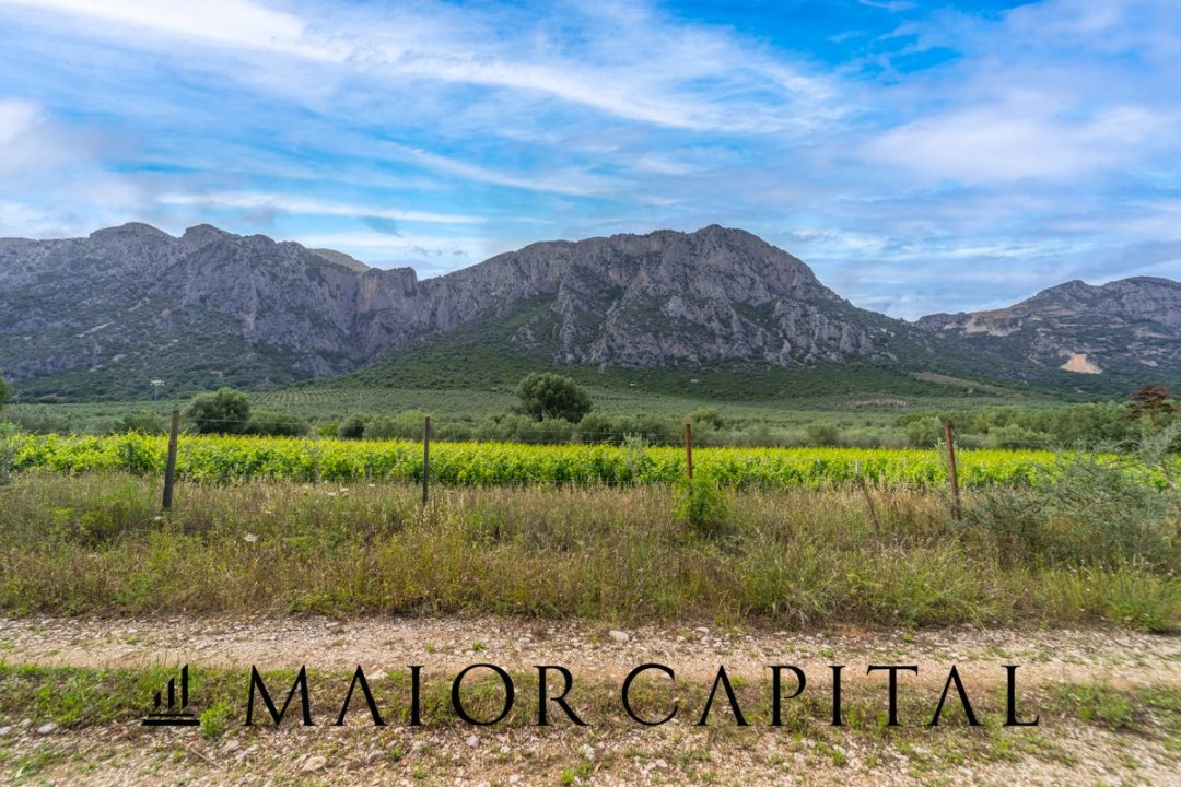 Zu verkaufen land in berg Siniscola Sardegna foto 38