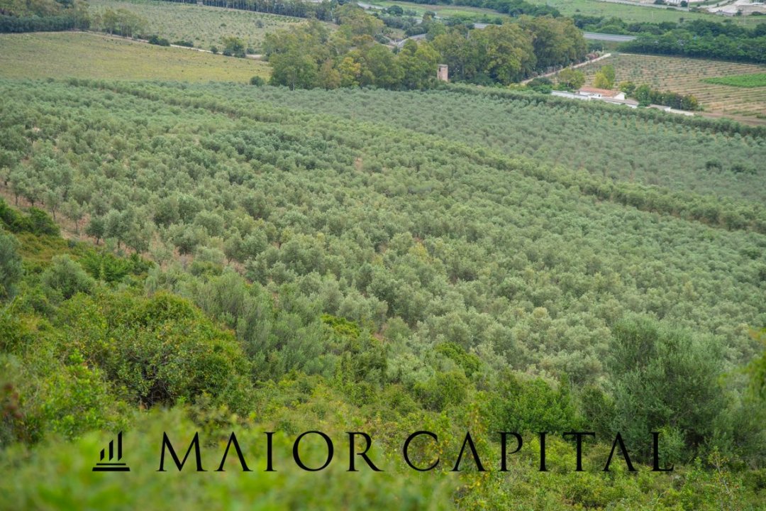 Zu verkaufen land in berg Siniscola Sardegna foto 47