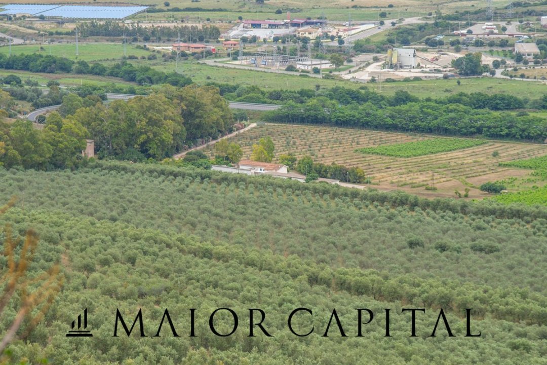 Zu verkaufen land in berg Siniscola Sardegna foto 45