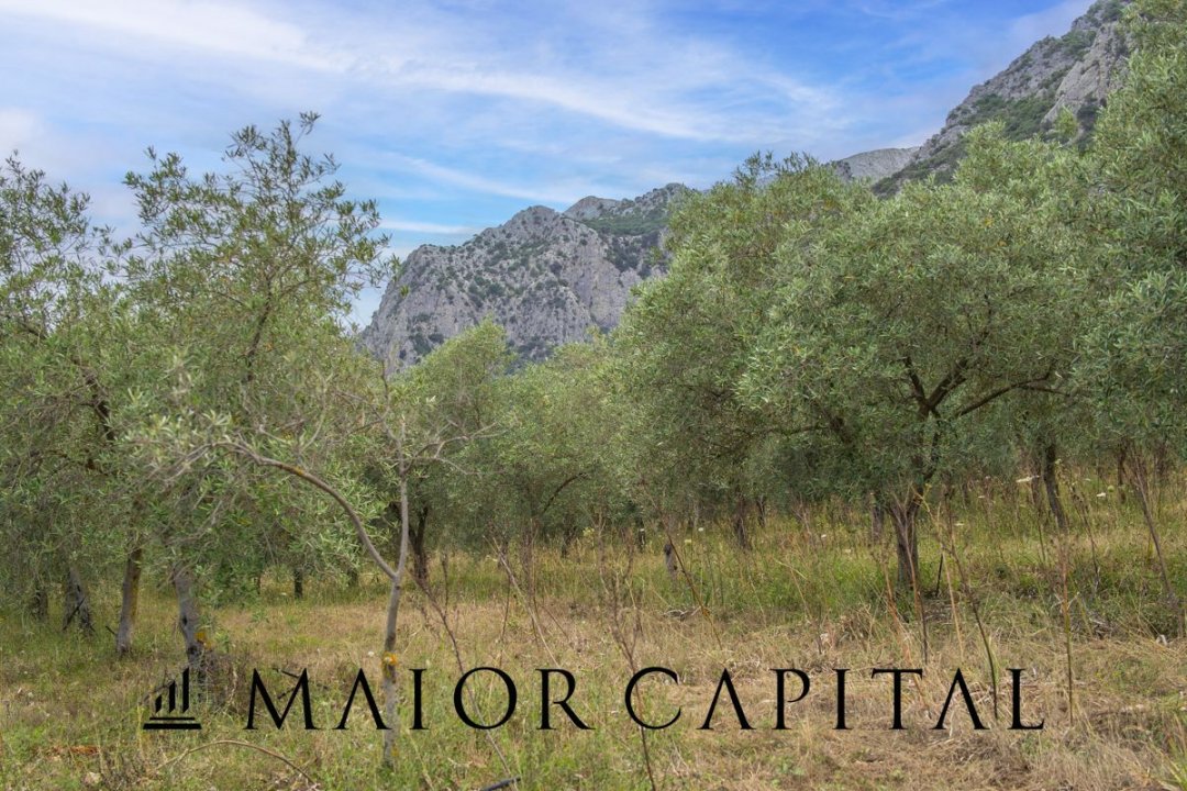 Zu verkaufen land in berg Siniscola Sardegna foto 46