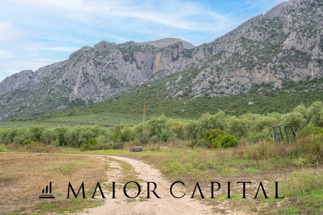 Para venda terreno in montanha Siniscola Sardegna foto 49