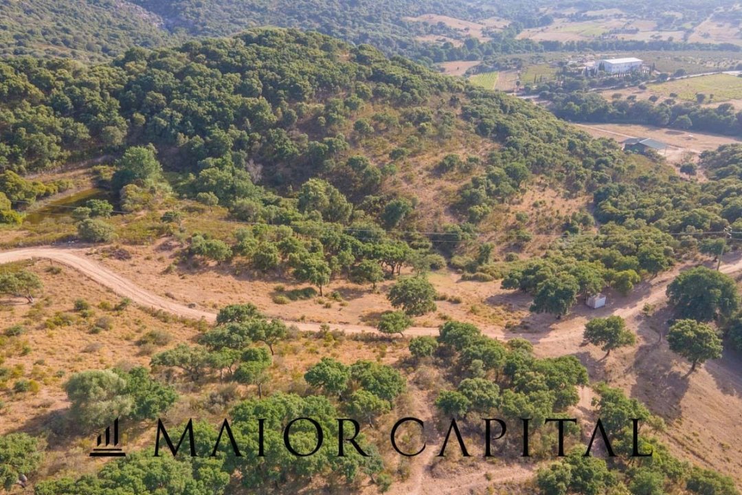 For sale terrain in quiet zone Sant´Antonio di Gallura Sardegna foto 25