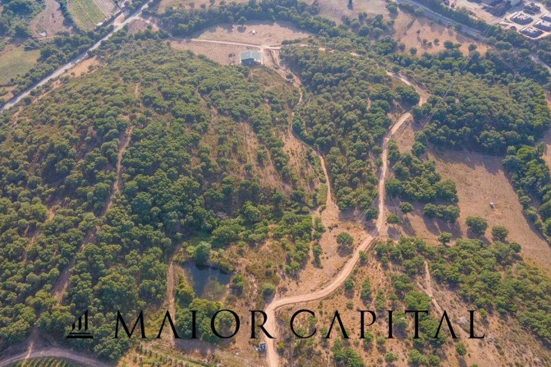 For sale terrain in quiet zone Sant´Antonio di Gallura Sardegna foto 26