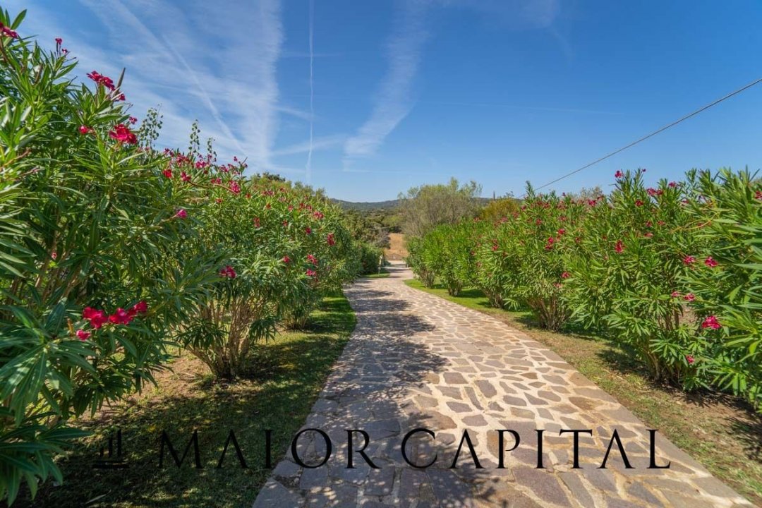 Se vende villa in zona tranquila Olbia Sardegna foto 50