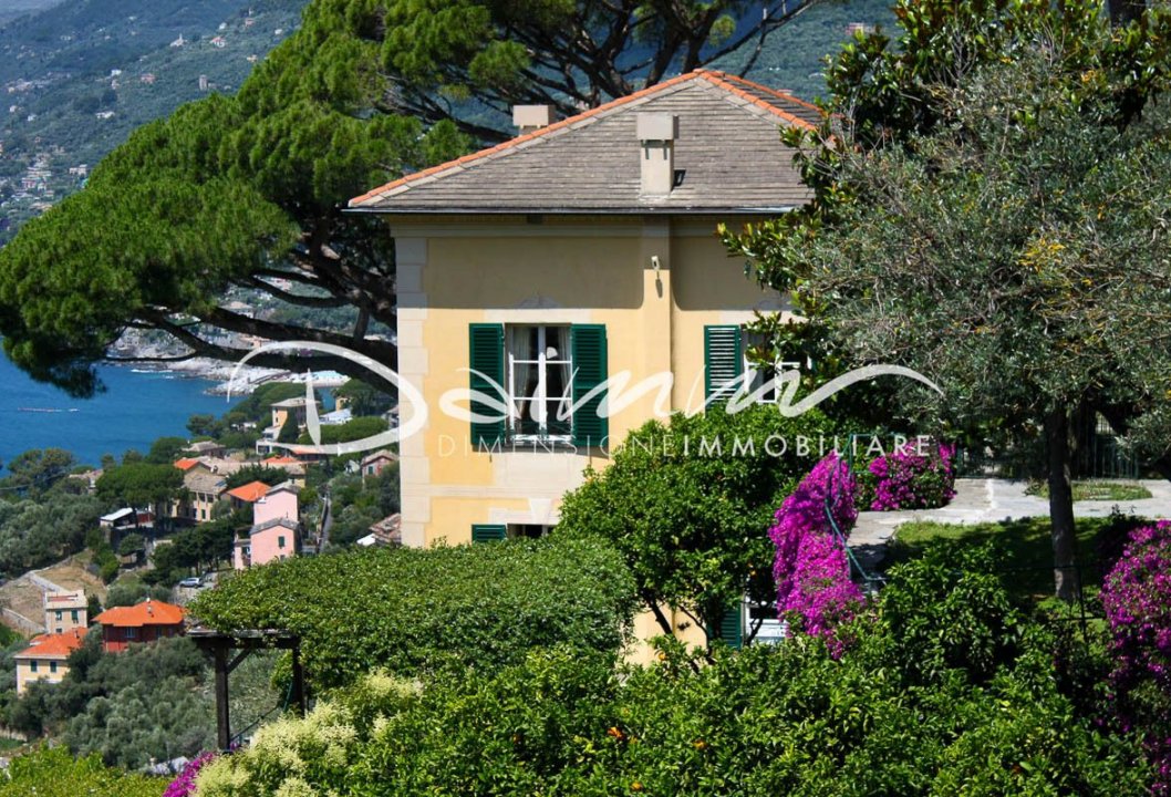 For sale villa by the sea Camogli Liguria foto 9