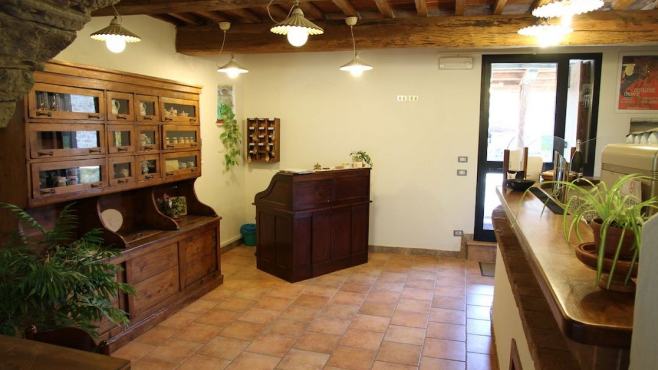 A vendre casale in  Arezzo Toscana foto 10