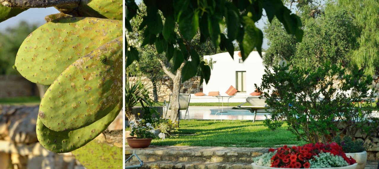 Se vende villa in zona tranquila San Michele Salentino Puglia foto 18