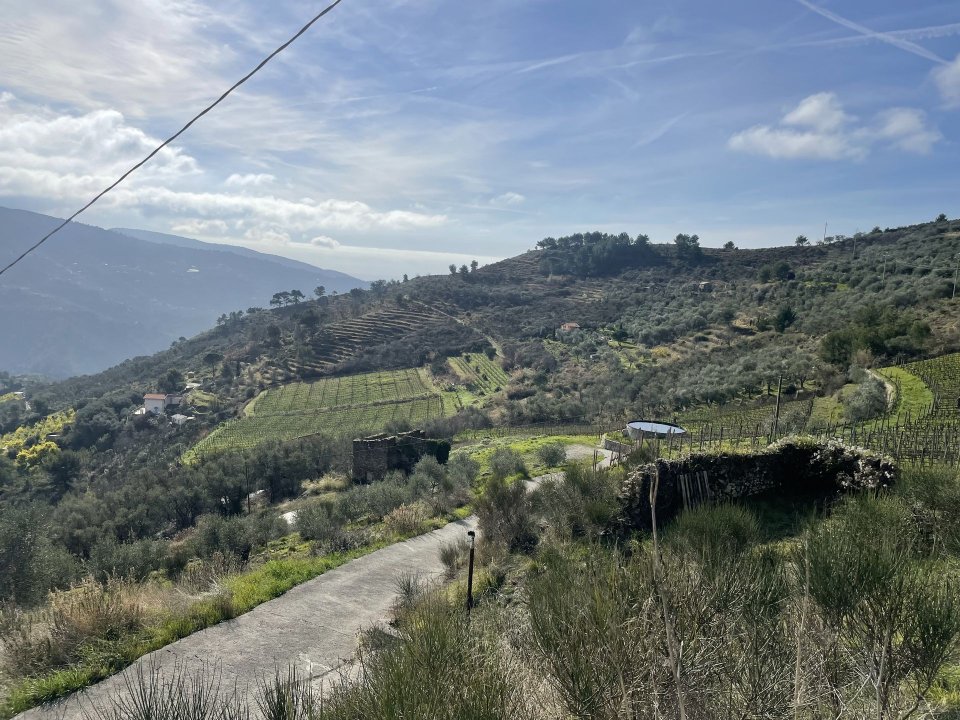 For sale terrain in quiet zone Perinaldo Liguria foto 30