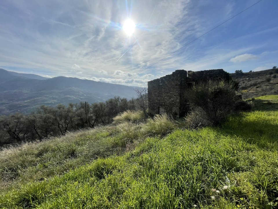 For sale terrain in quiet zone Perinaldo Liguria foto 17