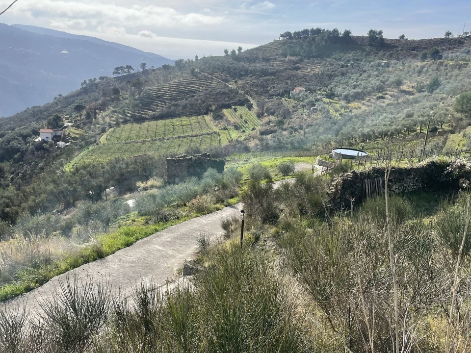 For sale terrain in quiet zone Perinaldo Liguria foto 32