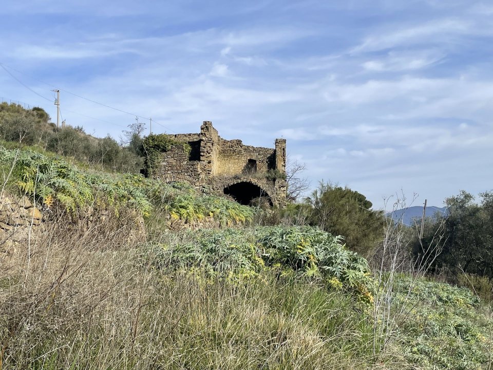 For sale terrain in quiet zone Perinaldo Liguria foto 29