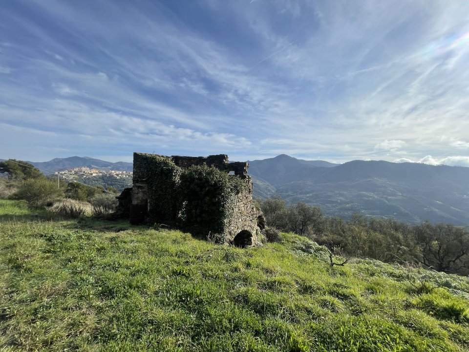 For sale terrain in quiet zone Perinaldo Liguria foto 3