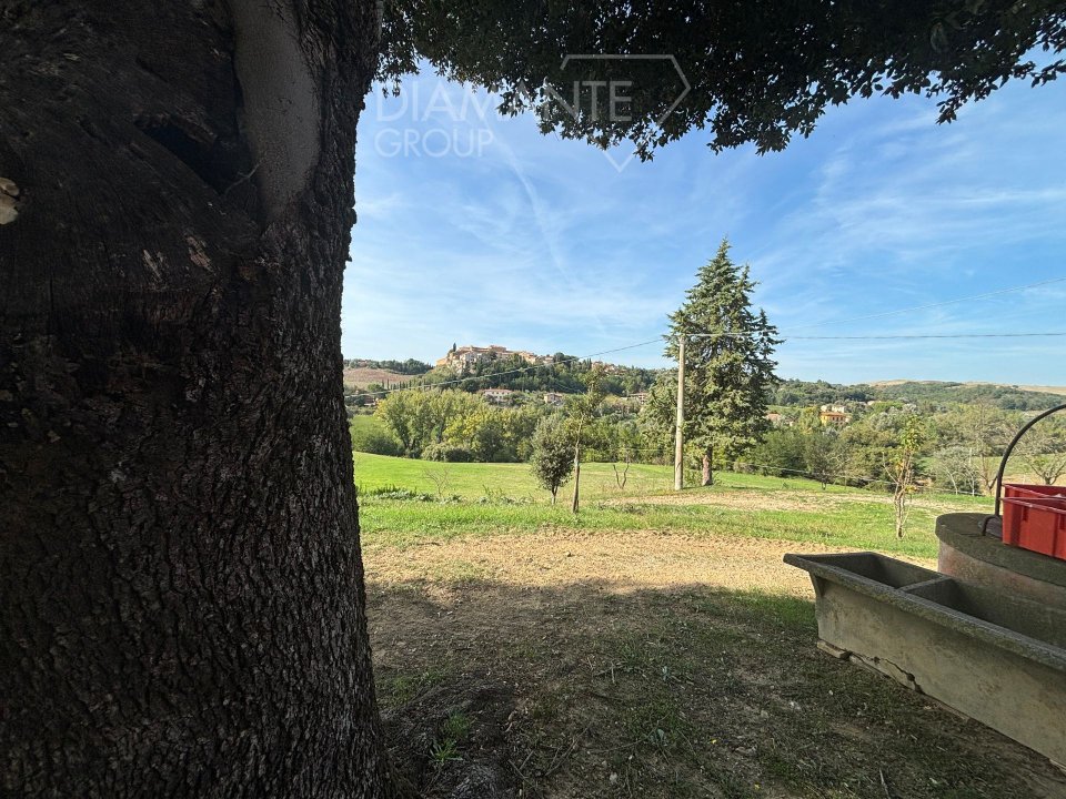 For sale cottage in quiet zone Montalcino Toscana foto 14