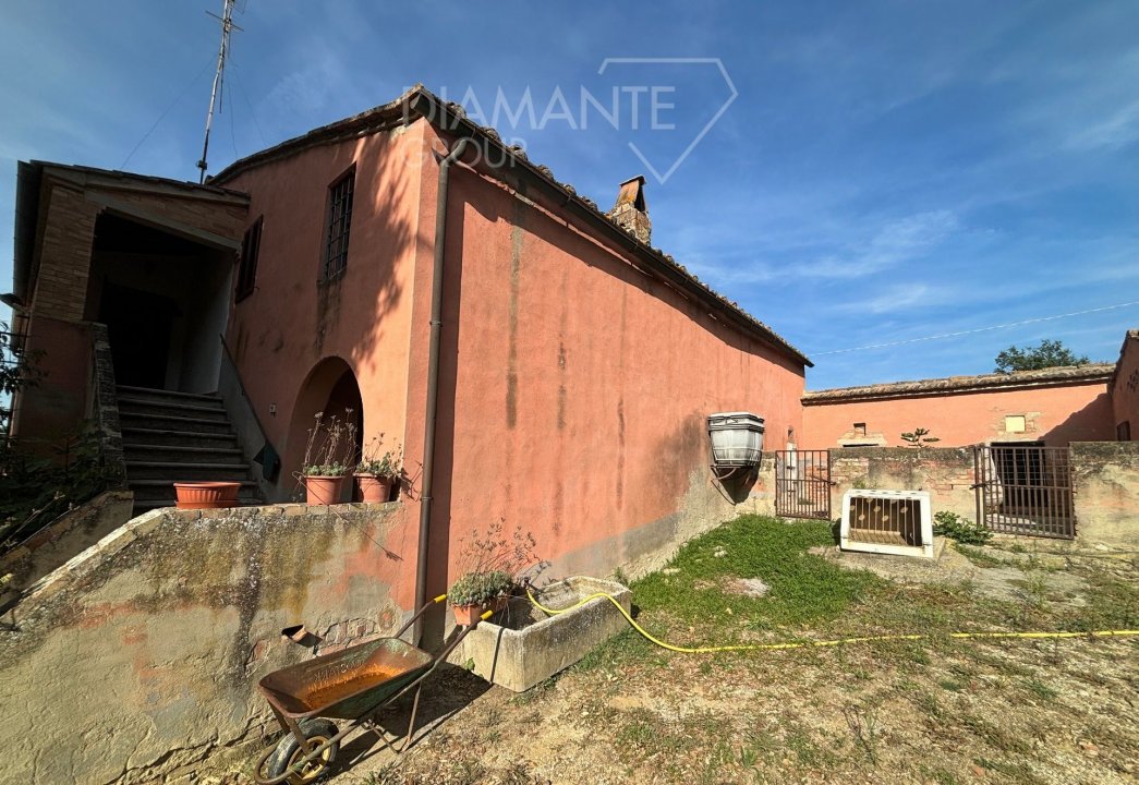 For sale cottage in quiet zone Montalcino Toscana foto 3