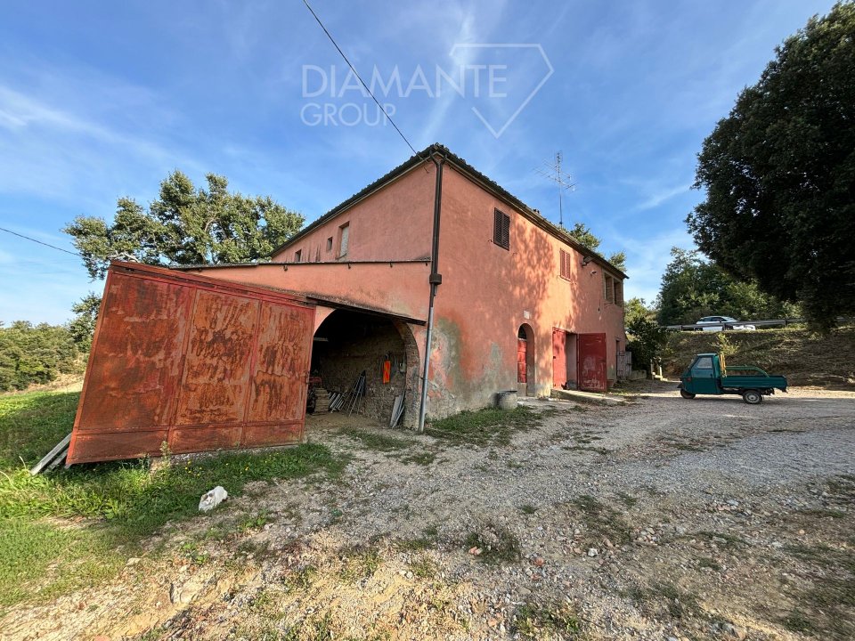 For sale cottage in quiet zone Montalcino Toscana foto 10