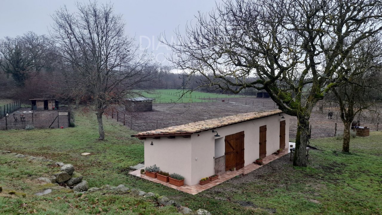 For sale cottage in quiet zone Castel Giorgio Umbria foto 3