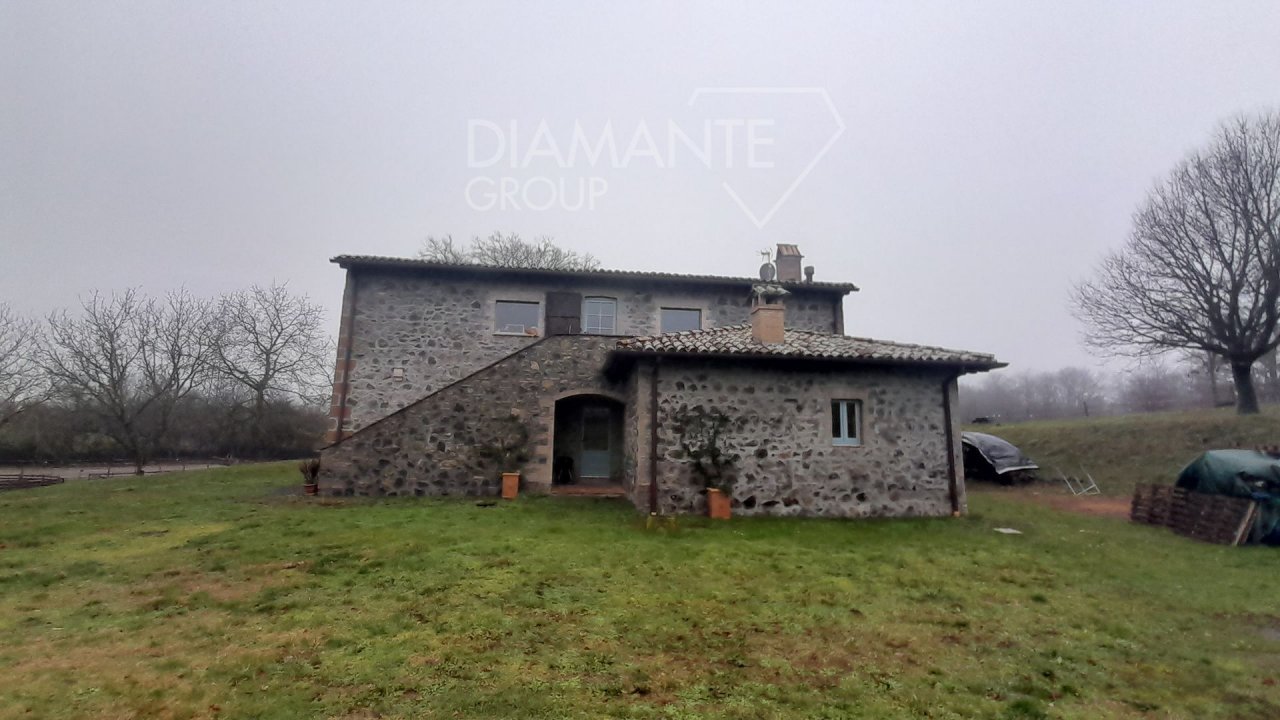 For sale cottage in quiet zone Castel Giorgio Umbria foto 20