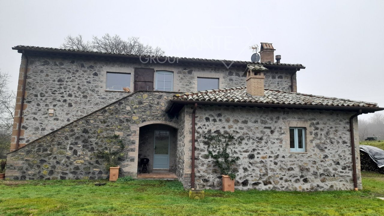 For sale cottage in quiet zone Castel Giorgio Umbria foto 21