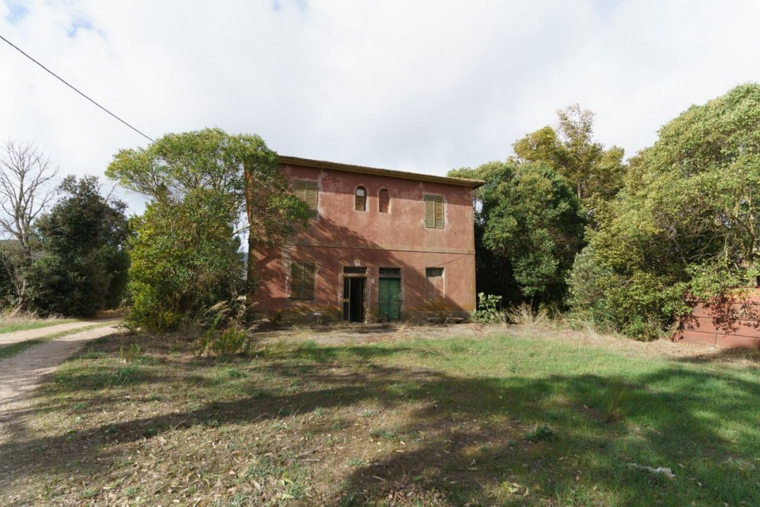 For sale cottage in quiet zone Magliano in Toscana Toscana foto 2