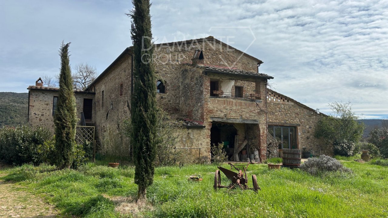 For sale cottage in quiet zone Civitella Paganico Toscana foto 55