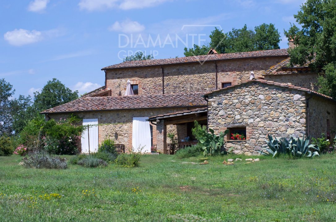 For sale cottage in quiet zone Civitella Paganico Toscana foto 74