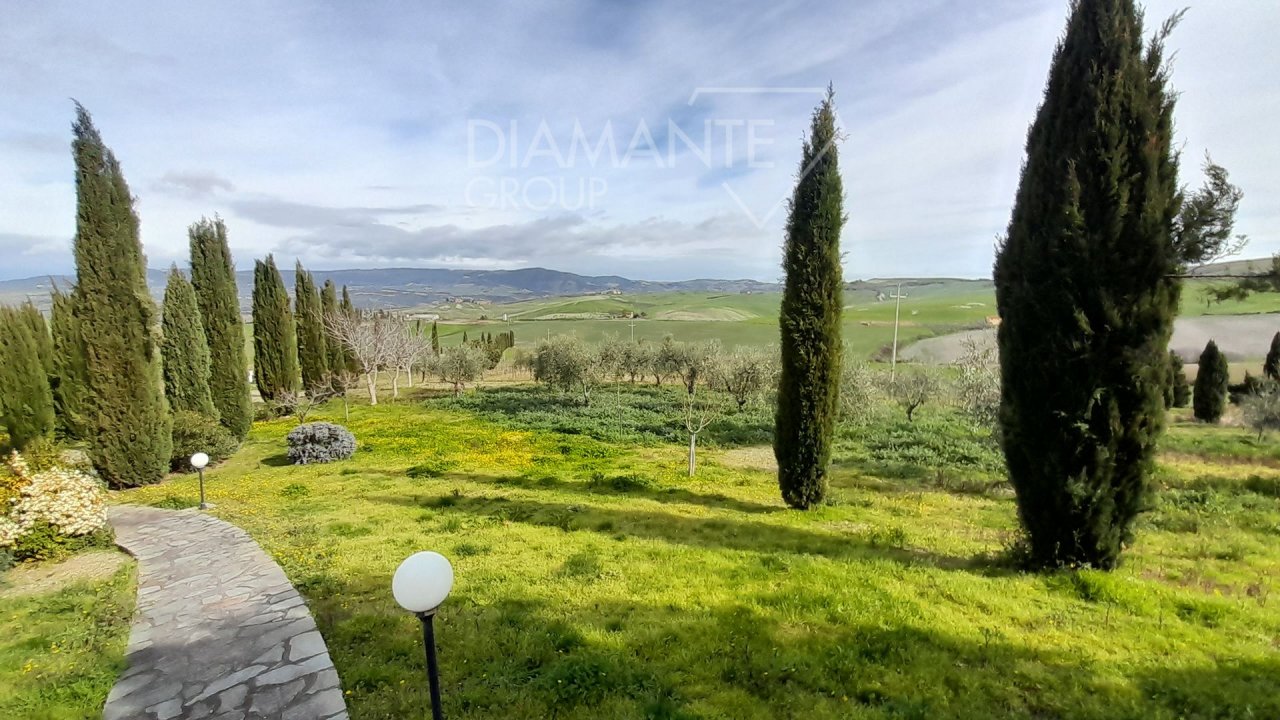 A vendre casale in zone tranquille Castel del Piano Toscana foto 11