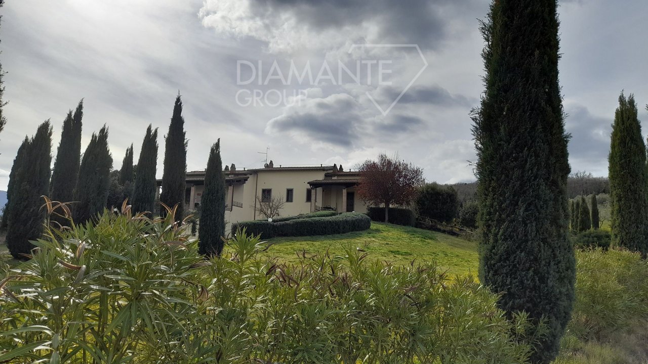 A vendre casale in zone tranquille Castel del Piano Toscana foto 15