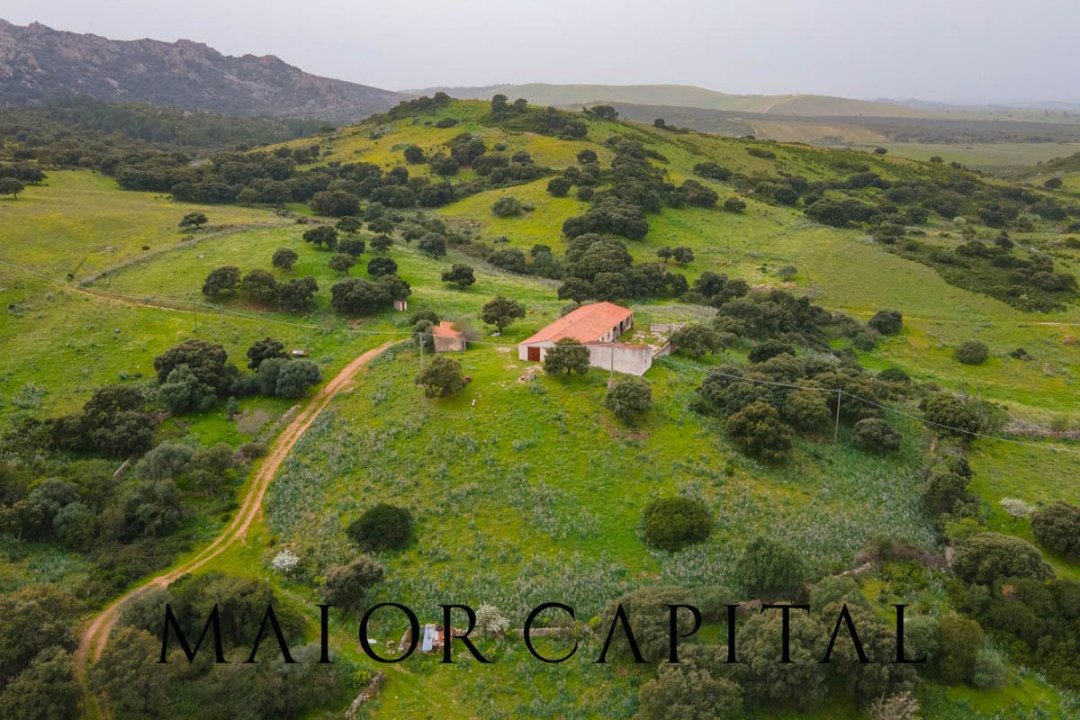 For sale terrain in quiet zone Berchidda Sardegna foto 2
