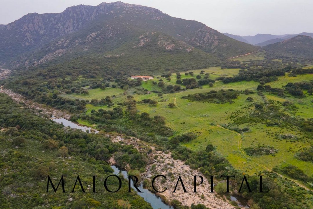 For sale terrain in quiet zone Berchidda Sardegna foto 11