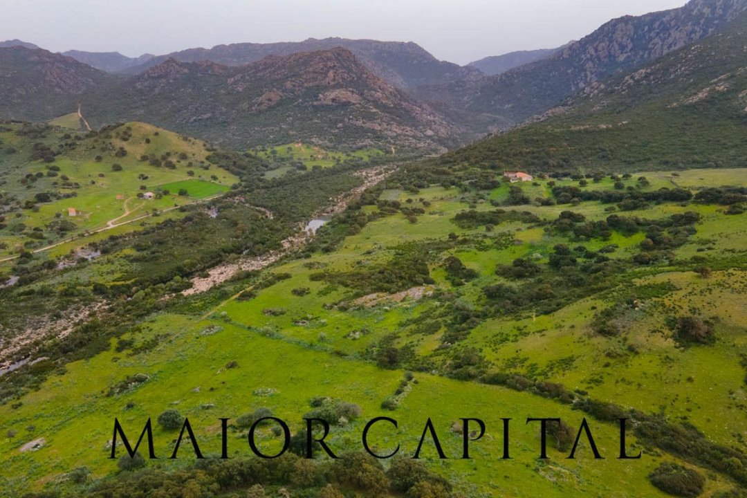For sale terrain in quiet zone Berchidda Sardegna foto 12