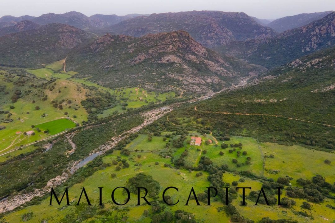 For sale terrain in quiet zone Berchidda Sardegna foto 14