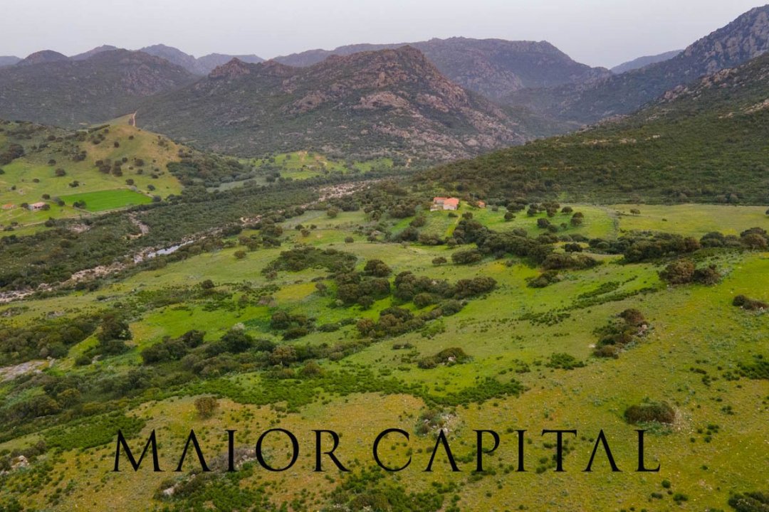 For sale terrain in quiet zone Berchidda Sardegna foto 15