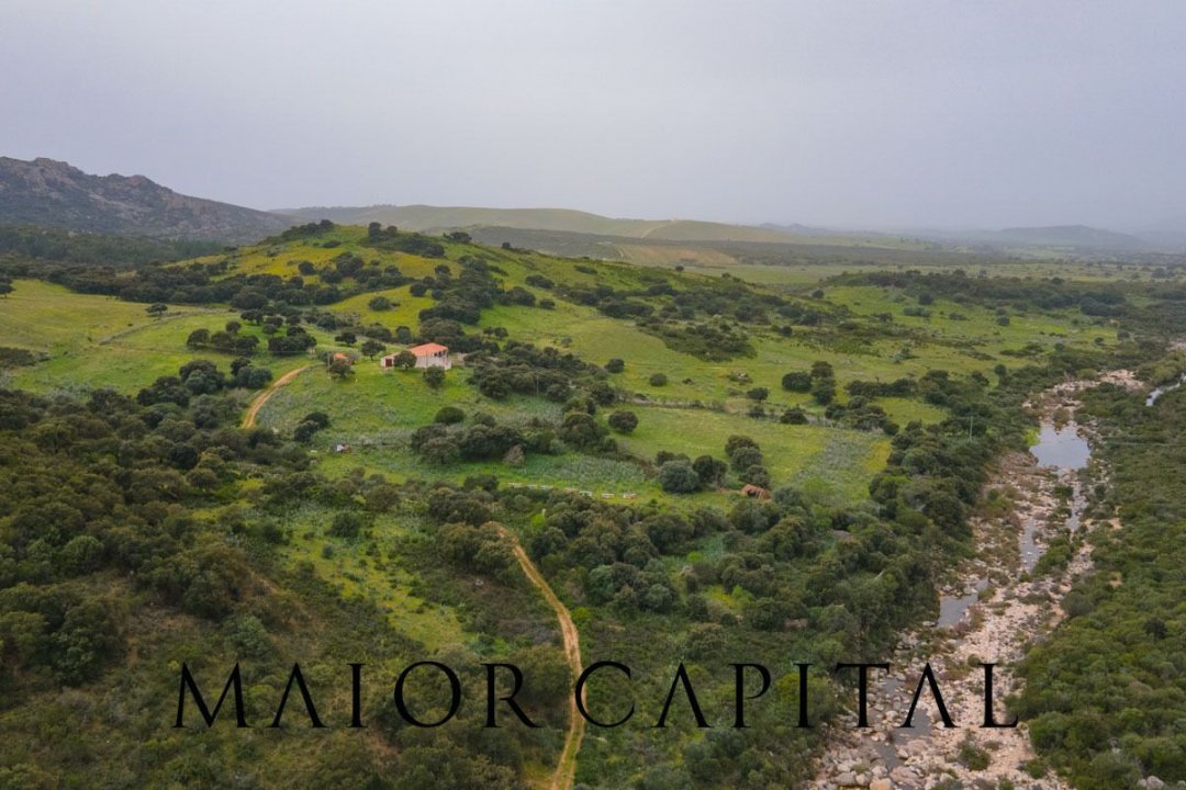 For sale terrain in quiet zone Berchidda Sardegna foto 17