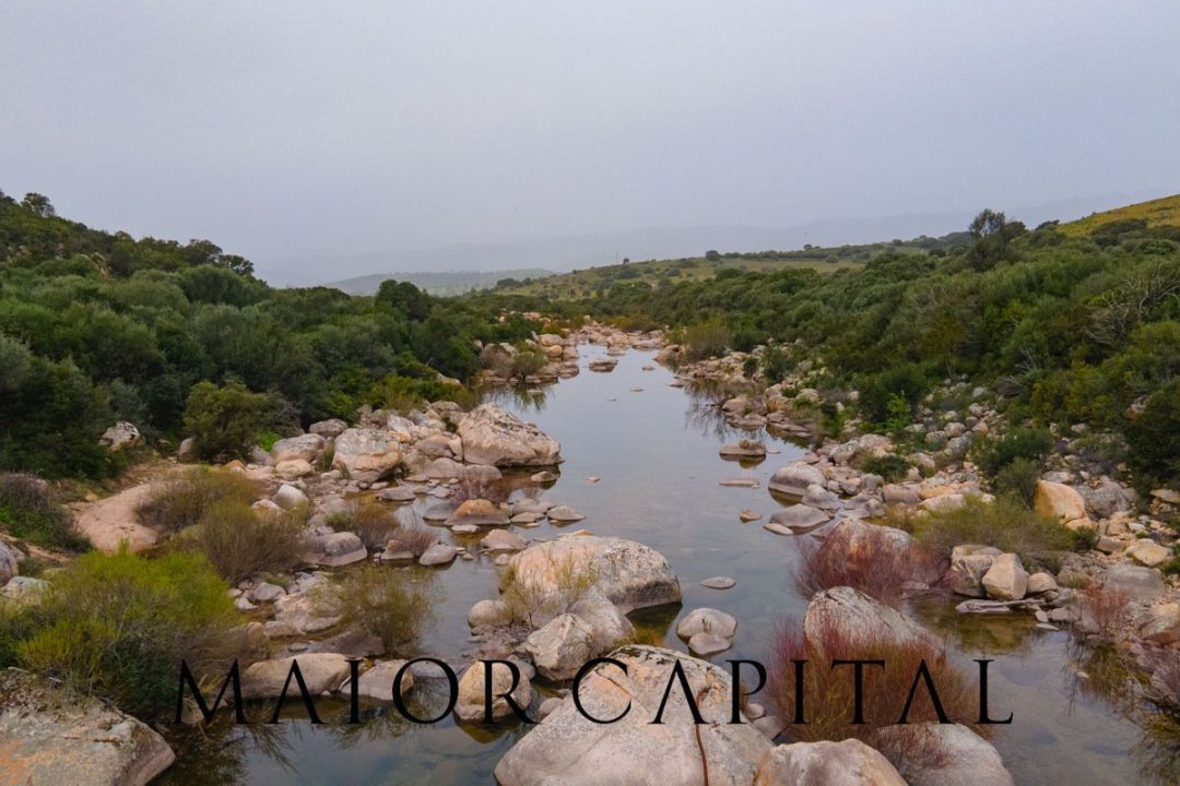 For sale terrain in quiet zone Berchidda Sardegna foto 25