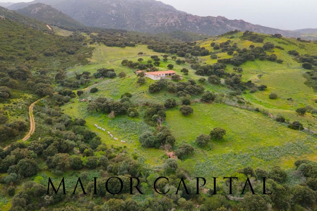 For sale terrain in quiet zone Berchidda Sardegna foto 26