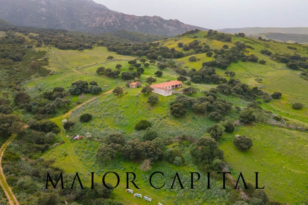 For sale terrain in quiet zone Berchidda Sardegna foto 7
