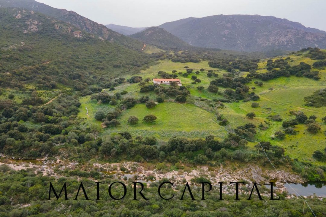For sale terrain in quiet zone Berchidda Sardegna foto 8