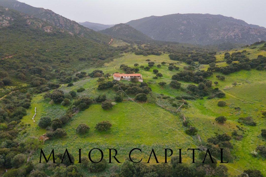 For sale terrain in quiet zone Berchidda Sardegna foto 9