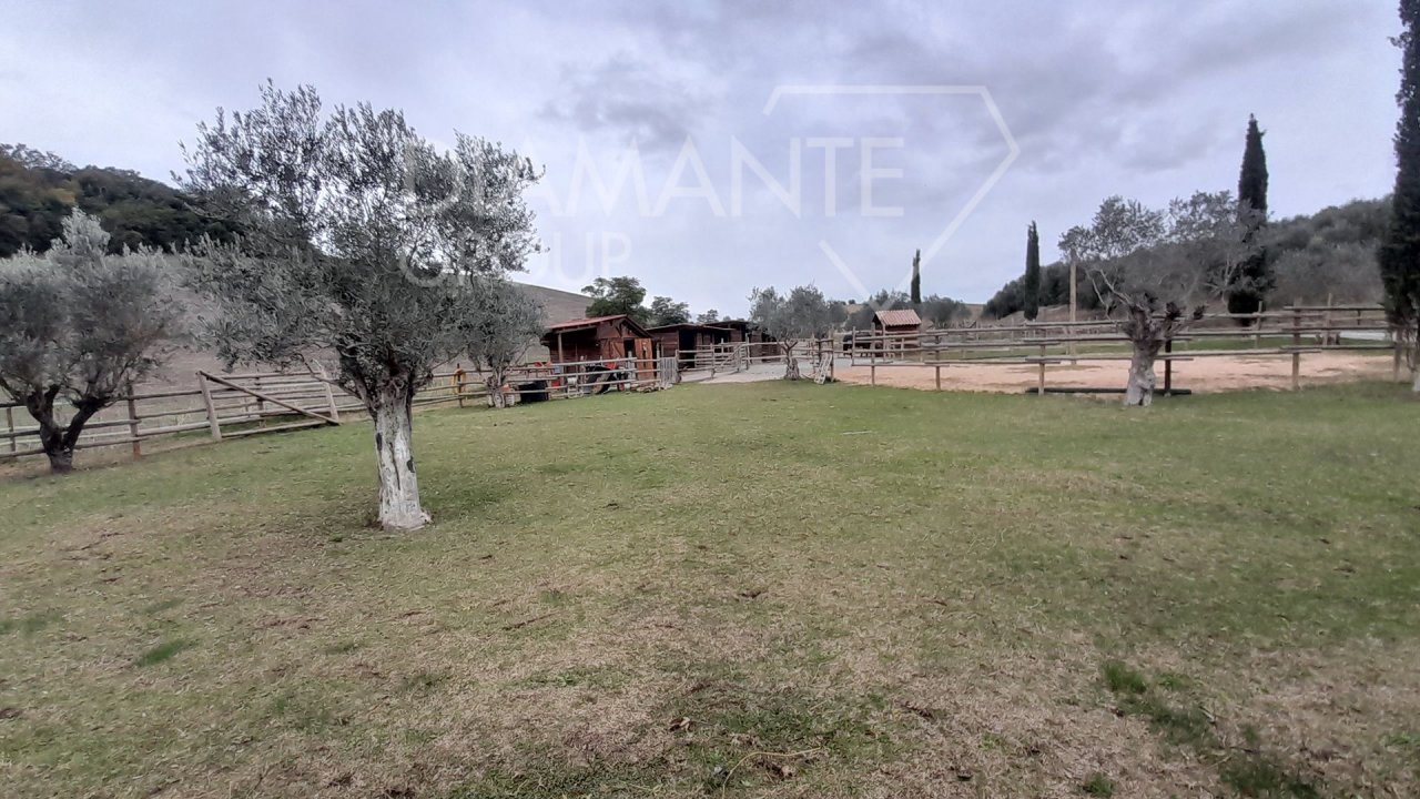 For sale cottage in  Manciano Toscana foto 27