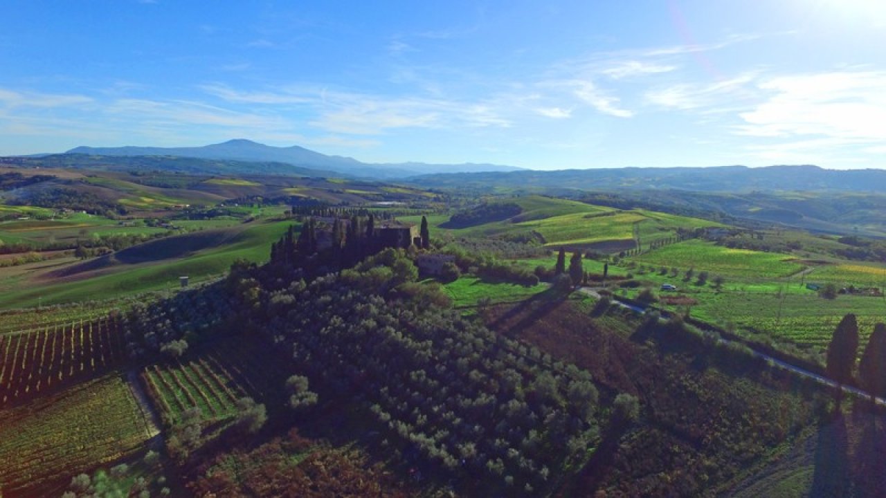 A vendre château in zone tranquille Montalcino Toscana foto 22